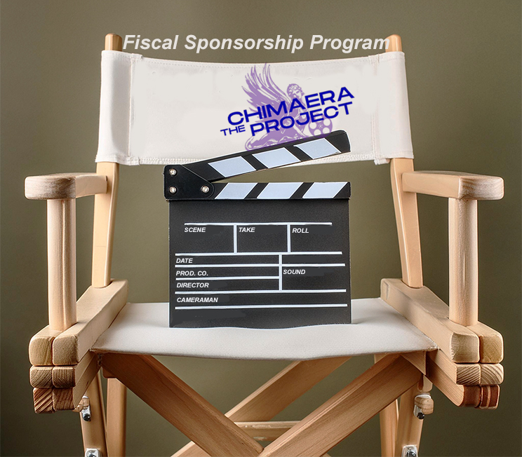 Fiscal sponsorship Program title image